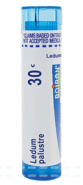 Ledum palustre 30c